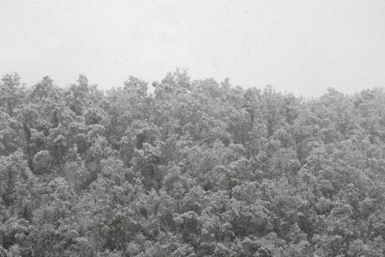 Snijeg na području Krapine (1)