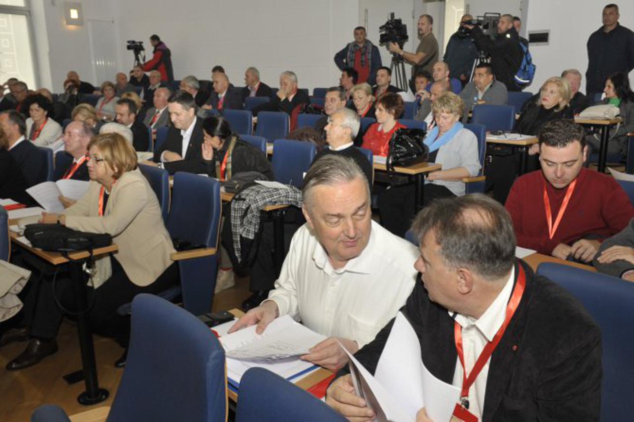 Uskoro kongresa SDP-a