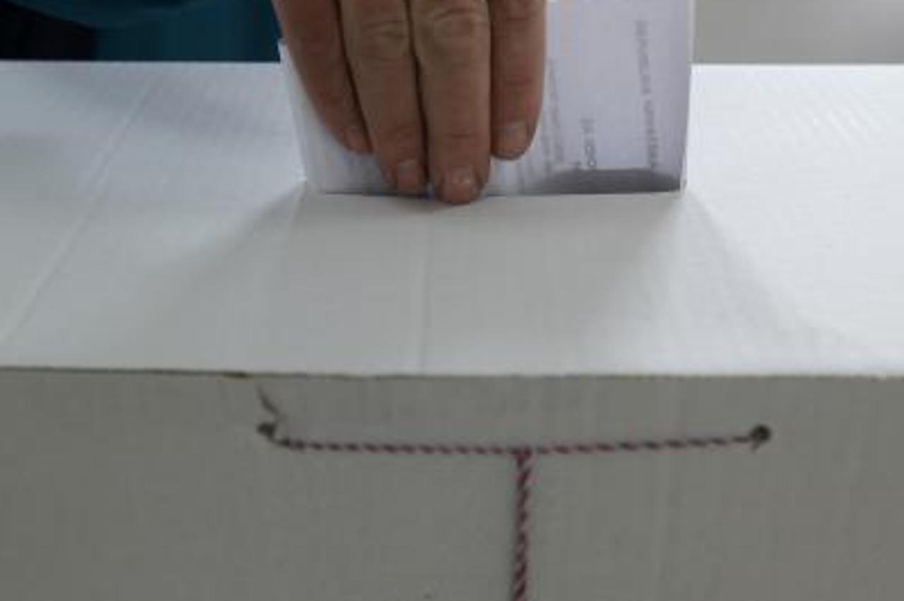 Glasanje birača iz Srbije (1)