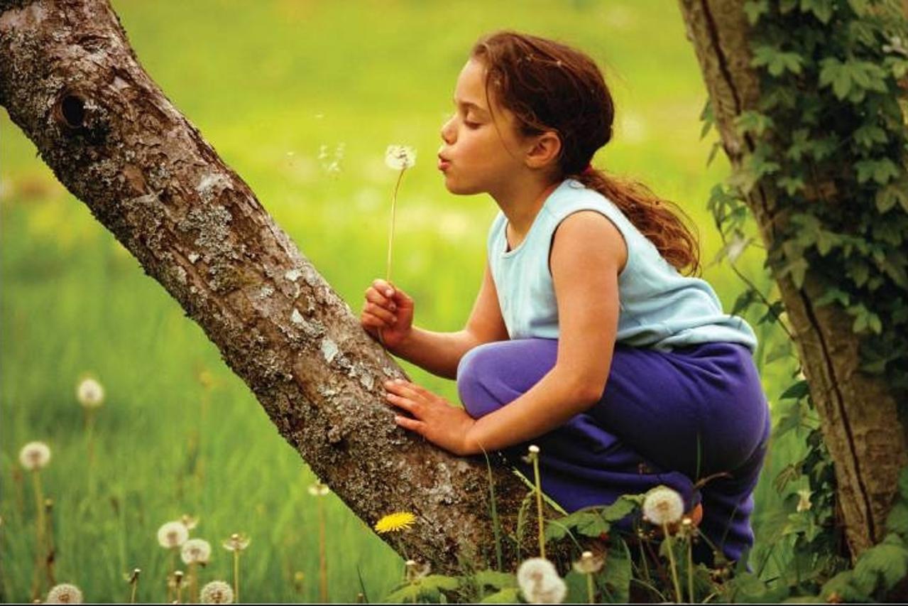 'alergije alergija dijete djeca izlet priroda ljeto biljke zrak ekologija'