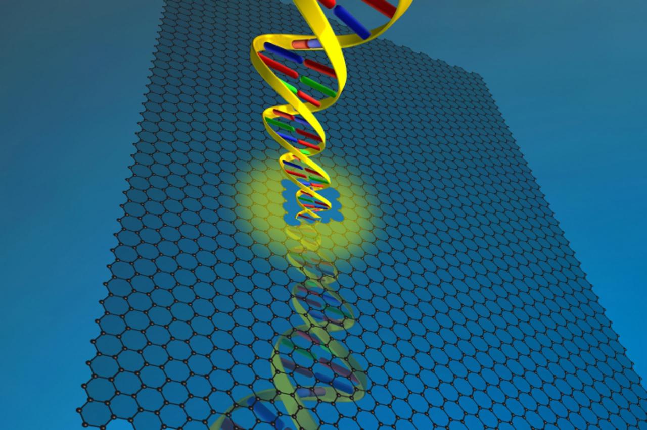 Grafen-DNK