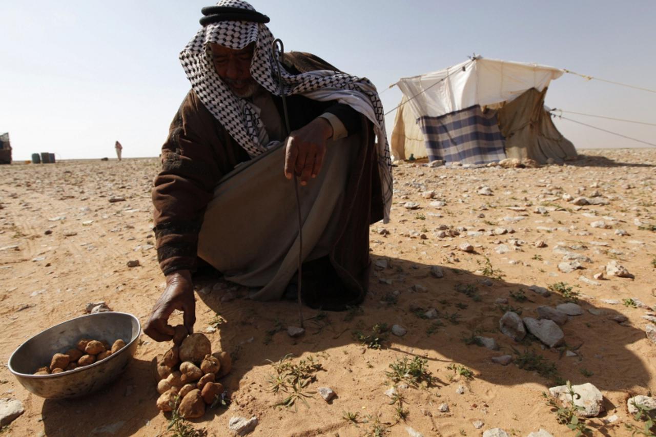 'A man sells Terfeziaceae, or desert truffles, in a desert south of Samawa, 270 km (168 miles) south of Baghdad February 10, 2013. Truffles are expensive at $45 per kilogram, and are considered a deli